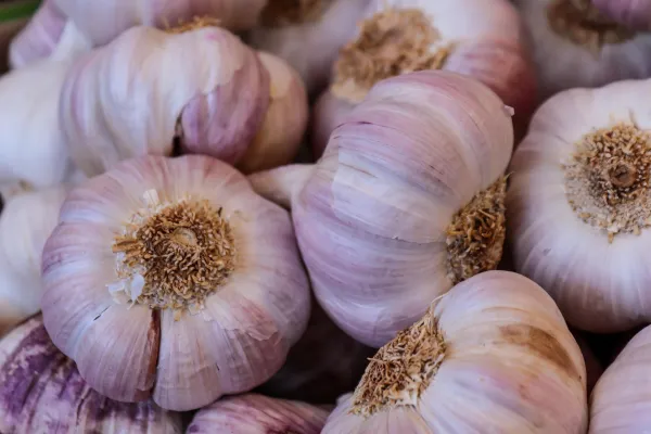 Fresh-Garlic-6.jpg