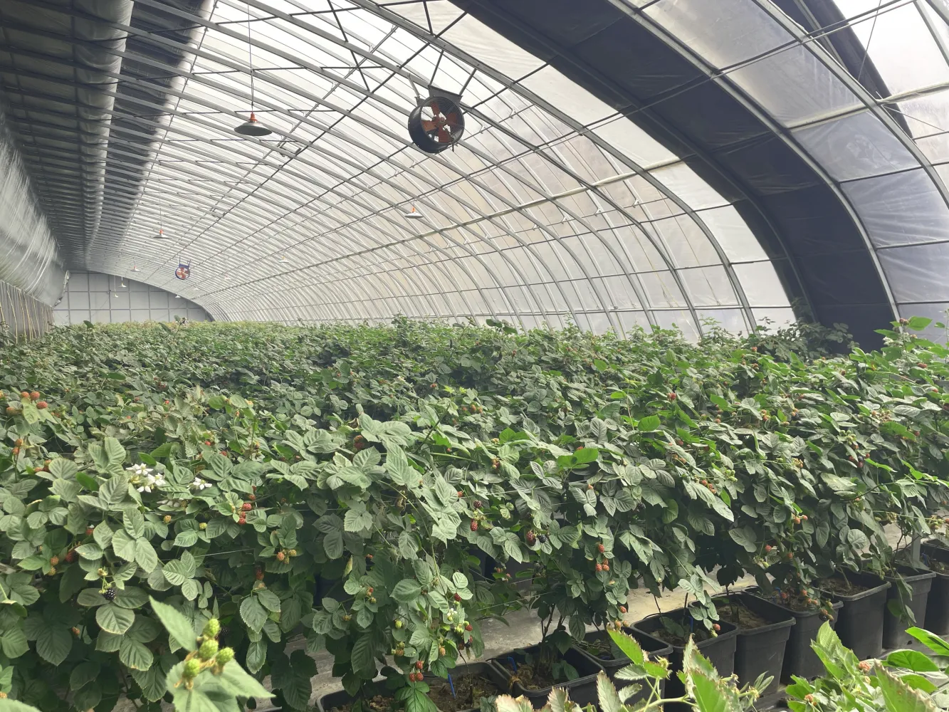 https://shmuker.oss-cn-hangzhou.aliyuncs.com/data/oss/66d58a59025e1d1d0a2b0974/68087abb4d4b9a5697b8fd62/20250429180356/company-1.png