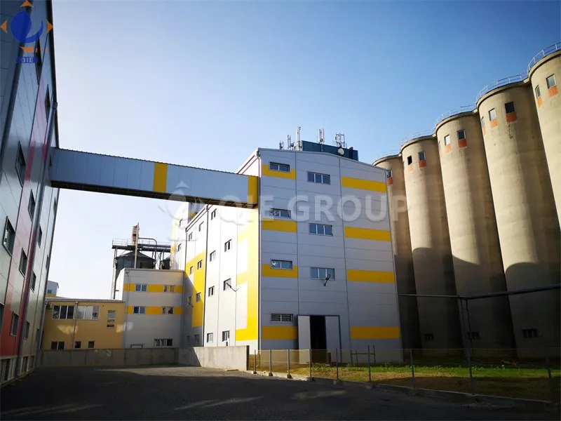 150tpd-sunflower-seed-oil-production-line-in-Central-Asia.png