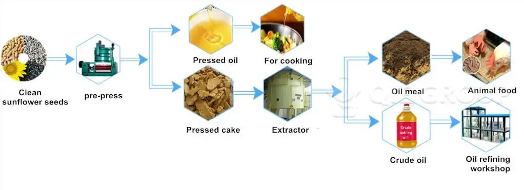 sunflower-seed-oil-extraction-process.webp