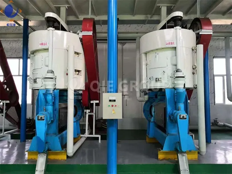 Linseed oil production line