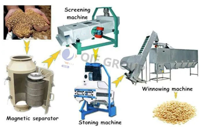 Sesame pretreatment