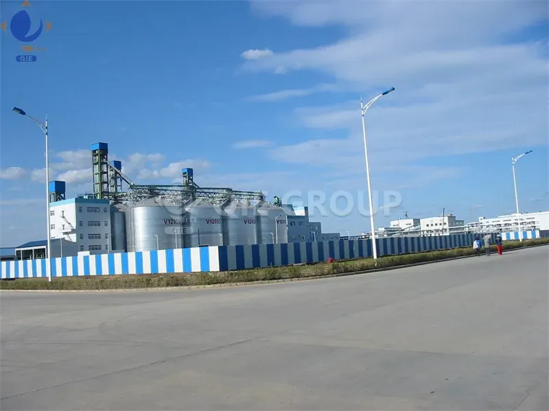 Palm oil production line