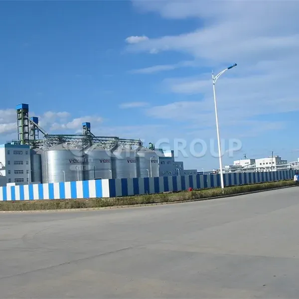 palm-oil-production-line-main.webp