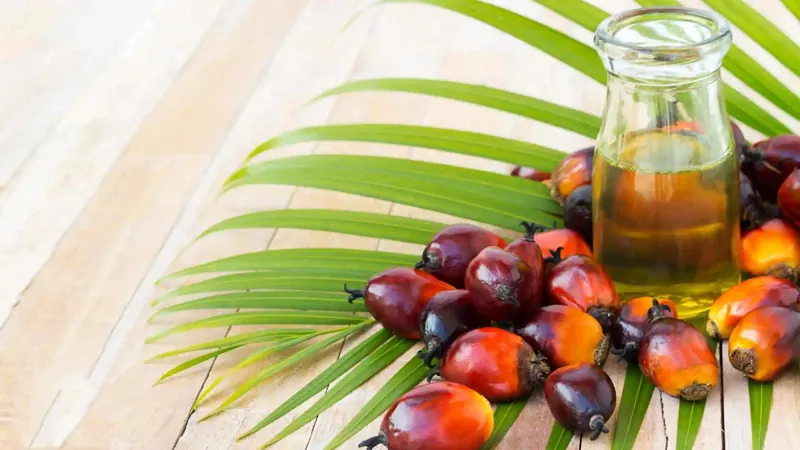 Palm Oil