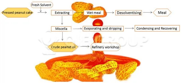 Peanut Oil Solvent Extraction Process