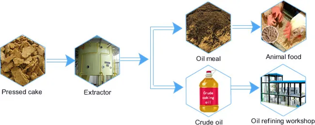Edible Oil Solvent Extraction Process
