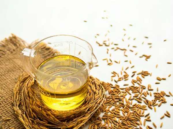 精炼米糠油