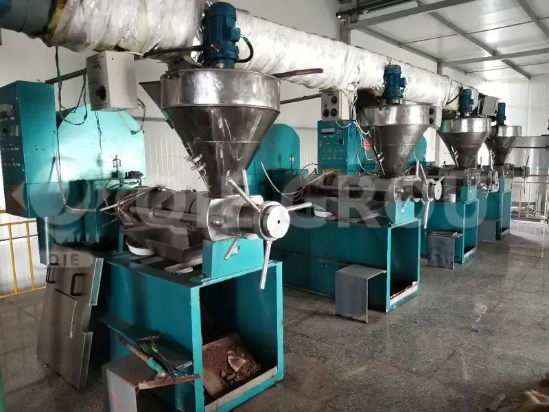https://shmuker.oss-cn-hangzhou.aliyuncs.com/data/oss/67e0b65a46c0fb5645db7c5b/6826fda536368b75a754738d/20260806110912/pure-cold-pressed-pumpkin-seed-oil-bottle_(2).webp