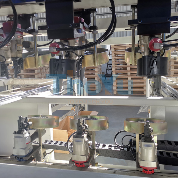 Customized extruder for a Japanese customer