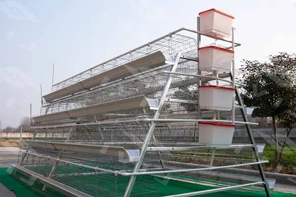 https://shmuker.oss-cn-hangzhou.aliyuncs.com/data/oss/681c58426f30b445a9ac020d/681c58426f30b445a9ac0213/20250512170951/160-chickens-4-tiers-layer-chicken-cage-for-sale.jpg