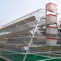 https://shmuker.oss-cn-hangzhou.aliyuncs.com/data/oss/681c58426f30b445a9ac020d/681c58426f30b445a9ac0213/20250512170951/160-chickens-4-tiers-layer-chicken-cage-for-sale.jpg