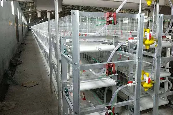 https://shmuker.oss-cn-hangzhou.aliyuncs.com/data/oss/681c58426f30b445a9ac020d/681c58426f30b445a9ac0213/20250513154114/broiler-chicken-cages-for-sale-in-tanzania-for-50000-chickens.jpg