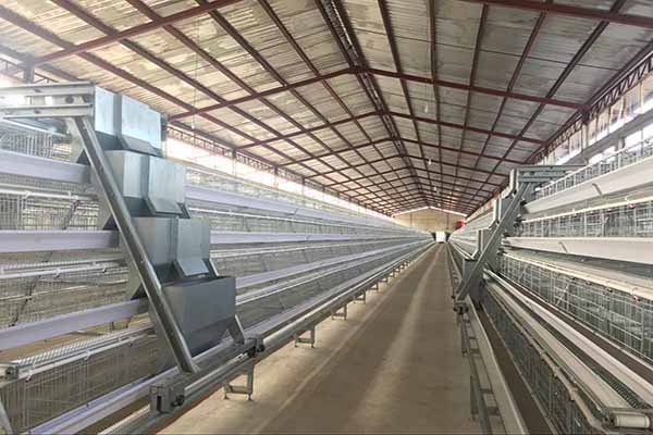a-type-3-tiers-layer-cages-in-nigeria-for-20000-chickens-