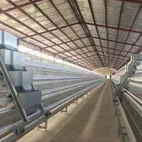 https://shmuker.oss-cn-hangzhou.aliyuncs.com/data/oss/681c58426f30b445a9ac020d/681c58426f30b445a9ac0213/20250513154958/a-type-3-tiers-layer-cages-in-nigeria-for-20000-chickens-.jpg