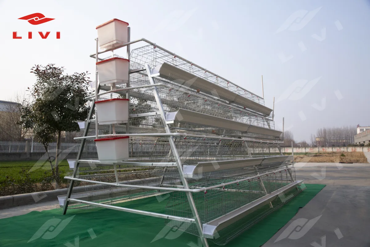 https://shmuker.oss-cn-hangzhou.aliyuncs.com/data/oss/681c58426f30b445a9ac020d/681c58426f30b445a9ac0213/20250519163017/整体图_(2).jpg