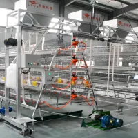 https://shmuker.oss-cn-hangzhou.aliyuncs.com/data/oss/681c58426f30b445a9ac020d/681c58426f30b445a9ac0213/20250519164005/20.JPG