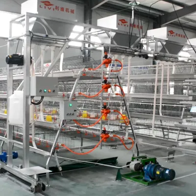 https://shmuker.oss-cn-hangzhou.aliyuncs.com/data/oss/681c58426f30b445a9ac020d/681c58426f30b445a9ac0213/20250519164005/20.JPG