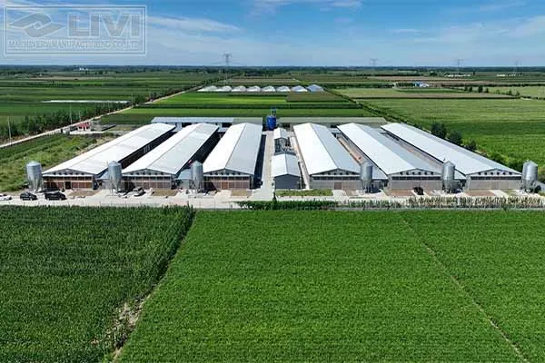 https://shmuker.oss-cn-hangzhou.aliyuncs.com/data/oss/681c58426f30b445a9ac020d/681c58426f30b445a9ac0213/20250520165949/100000-layers-in-modern-battery-cage-in-zambia.jpg