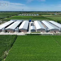 https://shmuker.oss-cn-hangzhou.aliyuncs.com/data/oss/681c58426f30b445a9ac020d/681c58426f30b445a9ac0213/20250520165949/100000-layers-in-modern-battery-cage-in-zambia.jpg