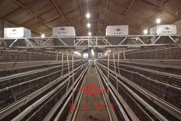 Automated feeding system integrated into multi-layer egg-laying hen cages