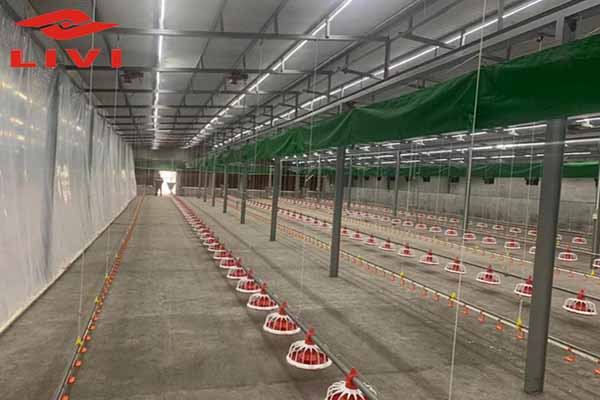 Aplicação do sistema deep litter para criação de aves em Senegal