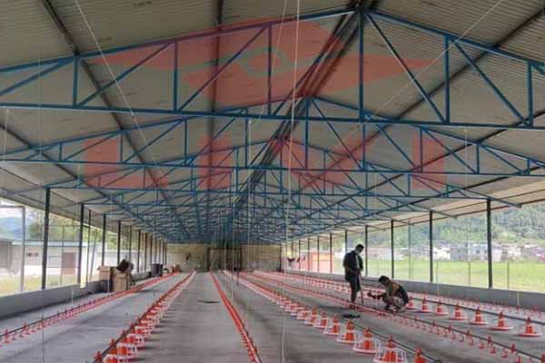 Equipamentos de criação mecânica de frangos de corte em grande escala