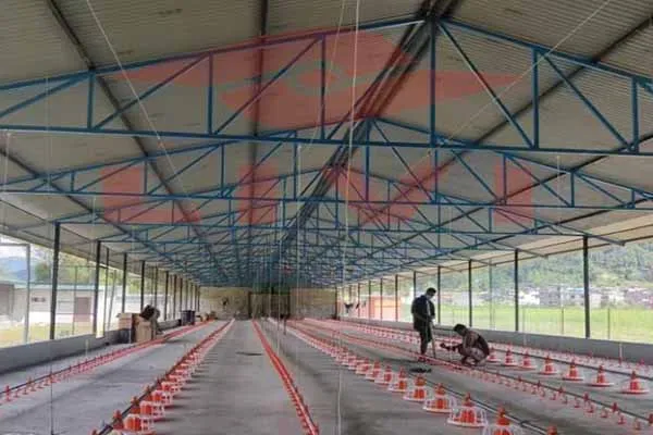 https://shmuker.oss-cn-hangzhou.aliyuncs.com/data/oss/681c58426f30b445a9ac020d/681c58426f30b445a9ac0213/20250616170926/livi-poultry-equioment-high-quality-solutions-for-global-farmers.jpg
