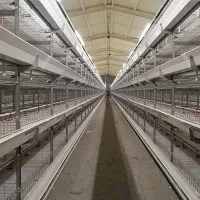 https://shmuker.oss-cn-hangzhou.aliyuncs.com/data/oss/681c58426f30b445a9ac020d/681c58426f30b445a9ac0213/20250723165932/livi-machinery-one-stop-service-of-poultry-farming-business-plan.jpg