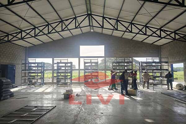 H-type layered laying hen cage system optimizing vertical space for poultry farms