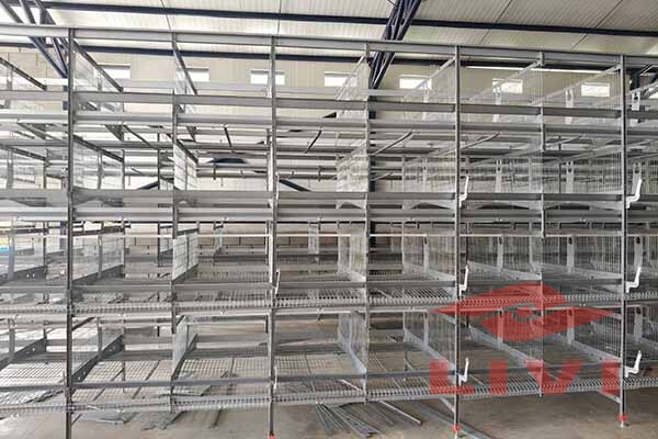 Photograph of modern poultry farm featuring Zhengzhou Liwei H-type layered egg-laying cages in active use, illustrating scale and cage arrangement
