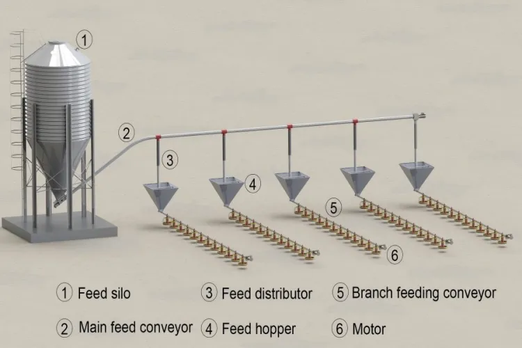 Top 5 Automatic Poultry Equipment Systems | Livi