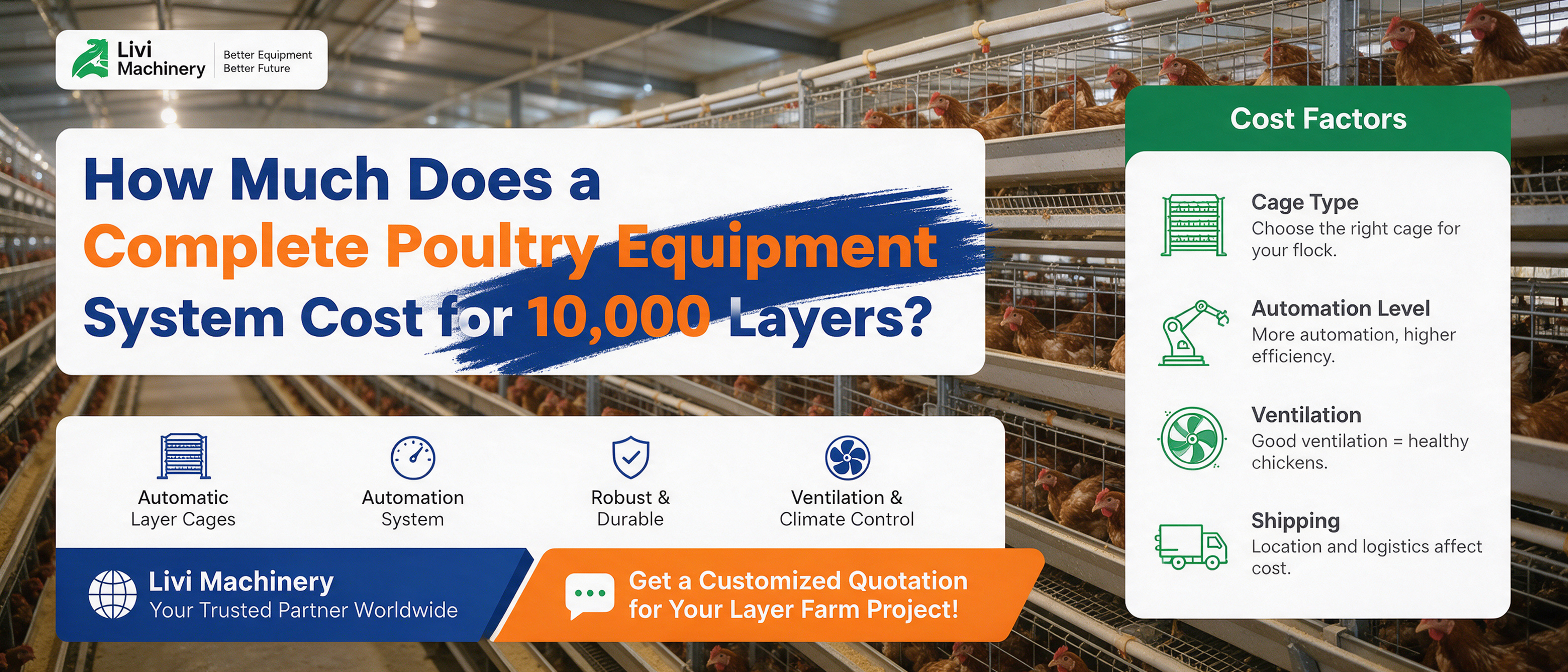 Complete poultry equipment system for 10,000 layers including cages, feeding and ventilation systems