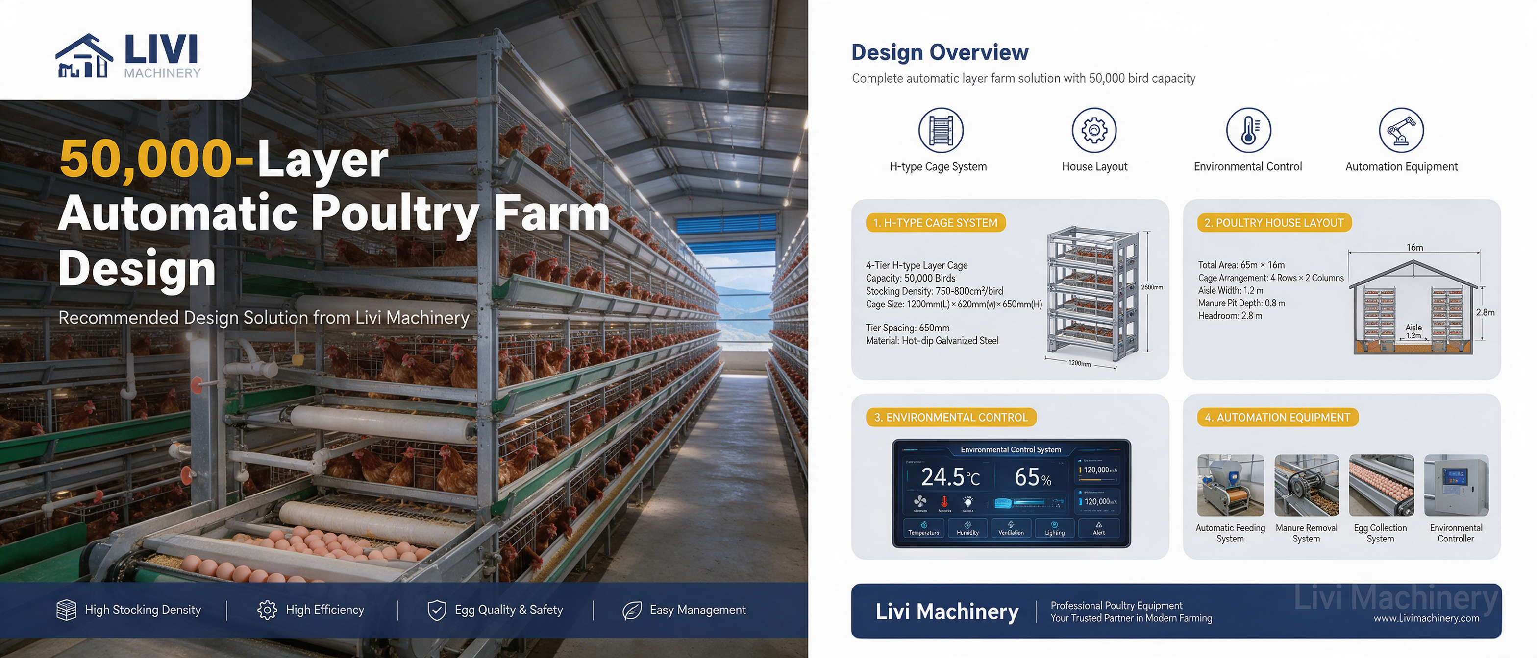 Design diagram of a 50,000-layer automatic poultry farm with H-type cage system and automated equipment