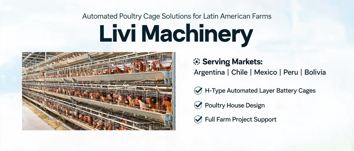 Automated Poultry Cage Solutions for Latin American Farms | Livi Machinery