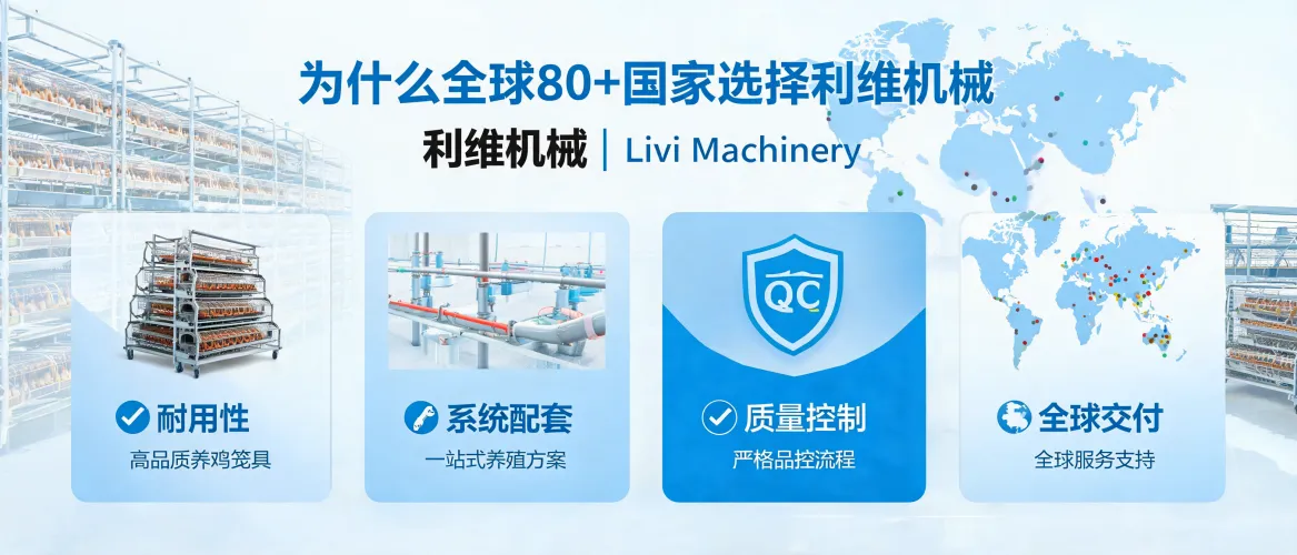 为什么全球80多个国家的客户选择Livi Machinery：规模化养鸡设备项目案例拆解