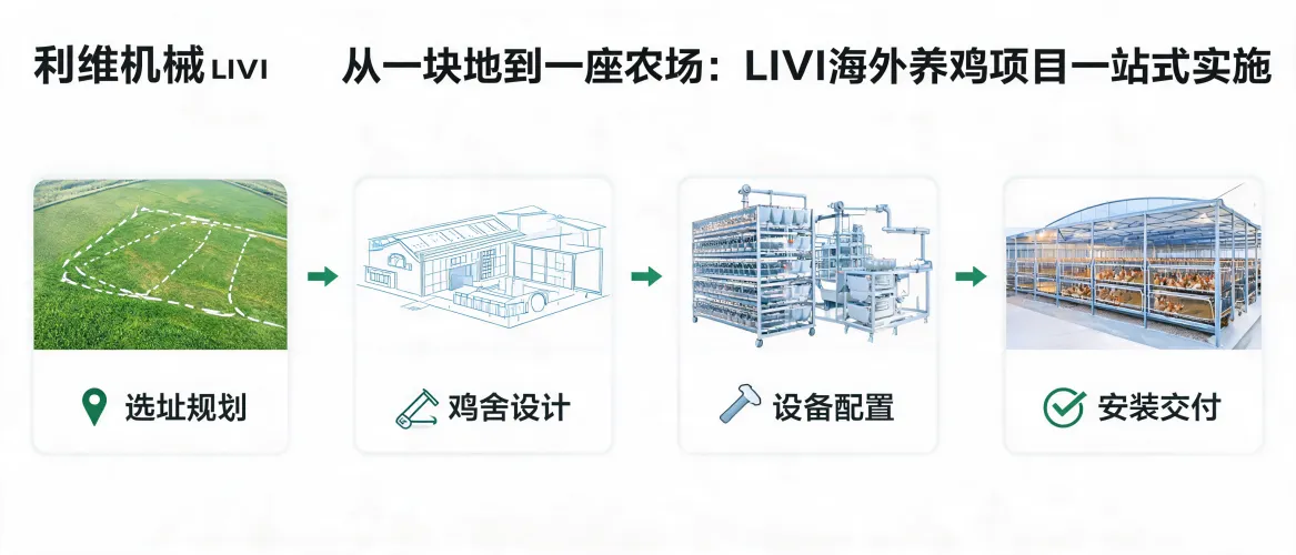 从一块地到一座农场：LIVI海外养鸡项目从选址到交付的实施经验
