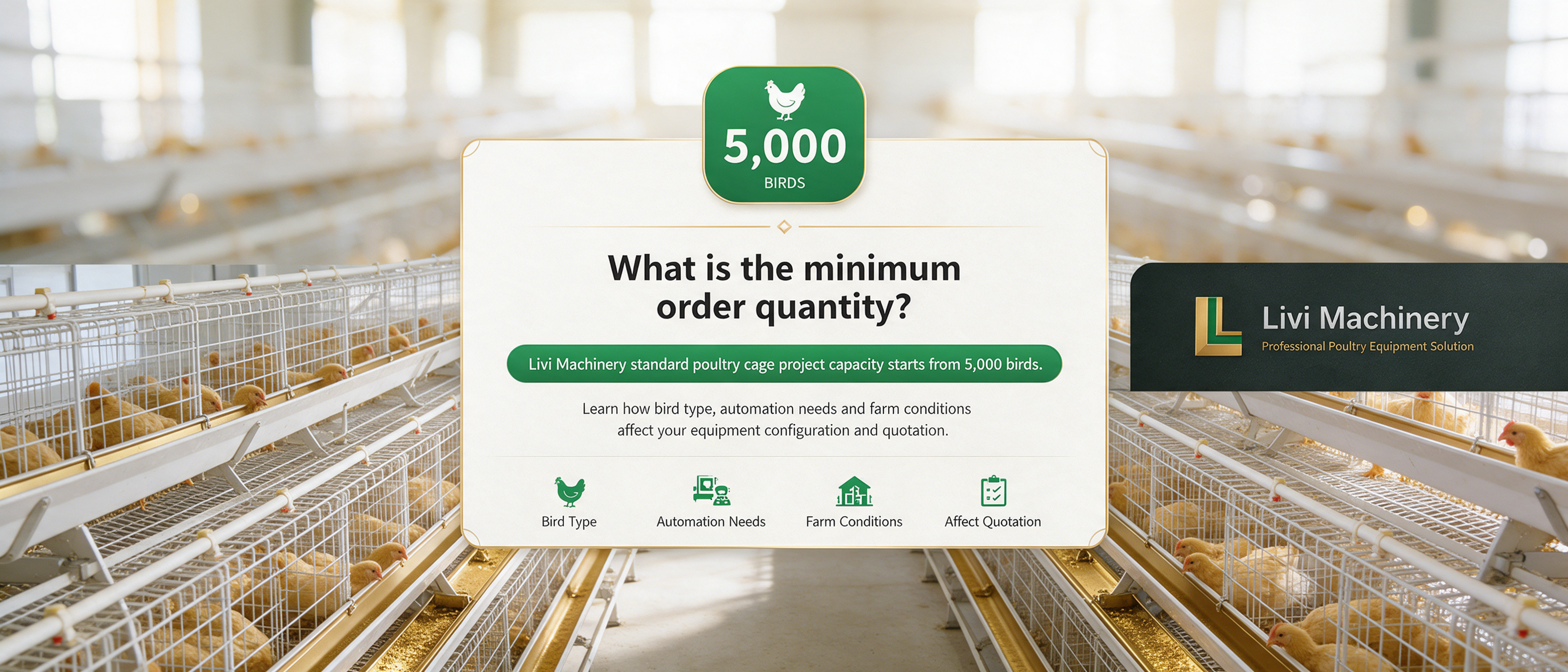 Poultry cage system configured for a 5,000-bird poultry farm project by Livi Machinery