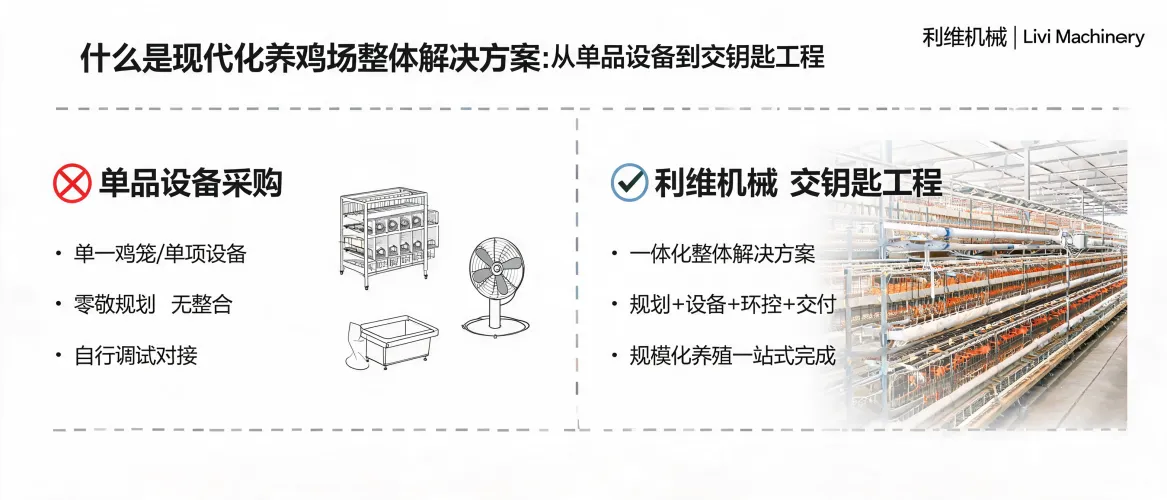 什么是现代化养鸡场整体解决方案：从单品设备到交钥匙工程｜Livi Machinery 利维机械