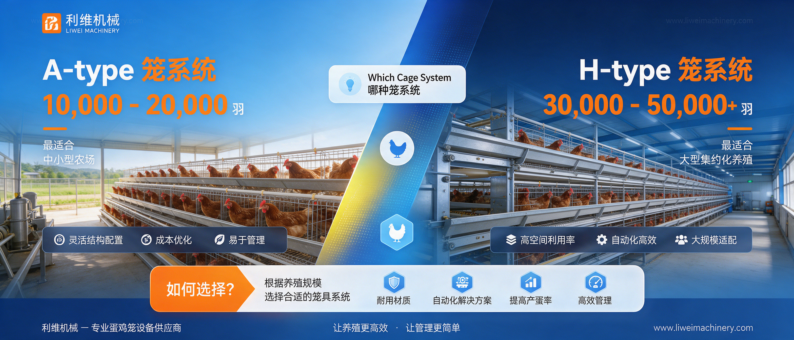 问：Which Layer Cage System Is Suitable for 10,000, 20,000 or 50,000 Chickens?答：Find the right layer cage system for 10,000, 20,000 or 50,000 chickens from Livi Machinery. Compare A-type and H-type layer cages based on farm scale, budget, automation needs and poultry house conditions.