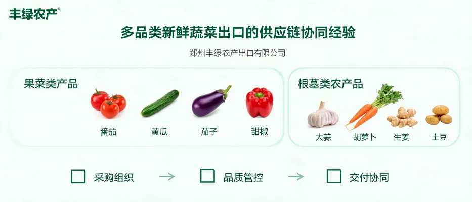 Multi-Category Fresh Vegetable Export Supply Chain Coordination | Zhengzhou Fenglu Agricultural Export Co., Ltd.