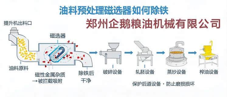 油料预处理磁选器如何除铁：磁性杂质拦截与设备保护 | 郑州企鹅粮油机械有限公司
