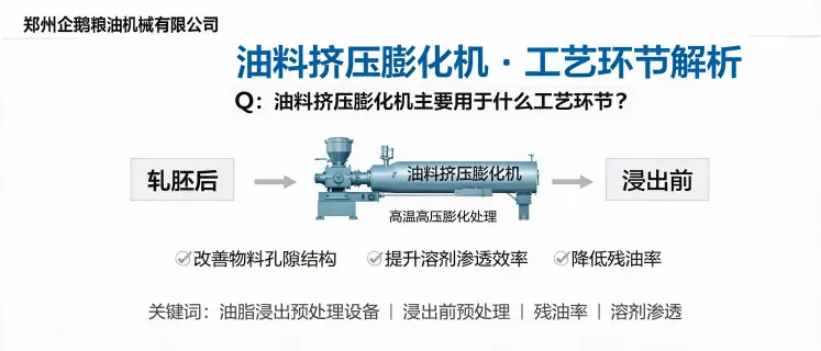 油料挤压膨化机用于油脂浸出前预处理，提升溶剂渗透效率并降低残油率