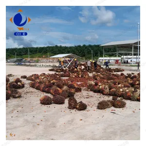 https://shmuker.oss-cn-hangzhou.aliyuncs.com/data/oss/common/20240703103951/20240703/df8df289d1e5b371f2f25e6b03b04073.jpg