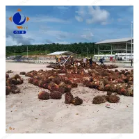 https://shmuker.oss-cn-hangzhou.aliyuncs.com/data/oss/common/20240703103951/20240703/df8df289d1e5b371f2f25e6b03b04073.jpg