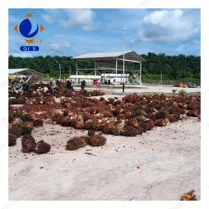 https://shmuker.oss-cn-hangzhou.aliyuncs.com/data/oss/common/20240703103952/20240703/68784d49672411ff593028323cb1db39.jpg
