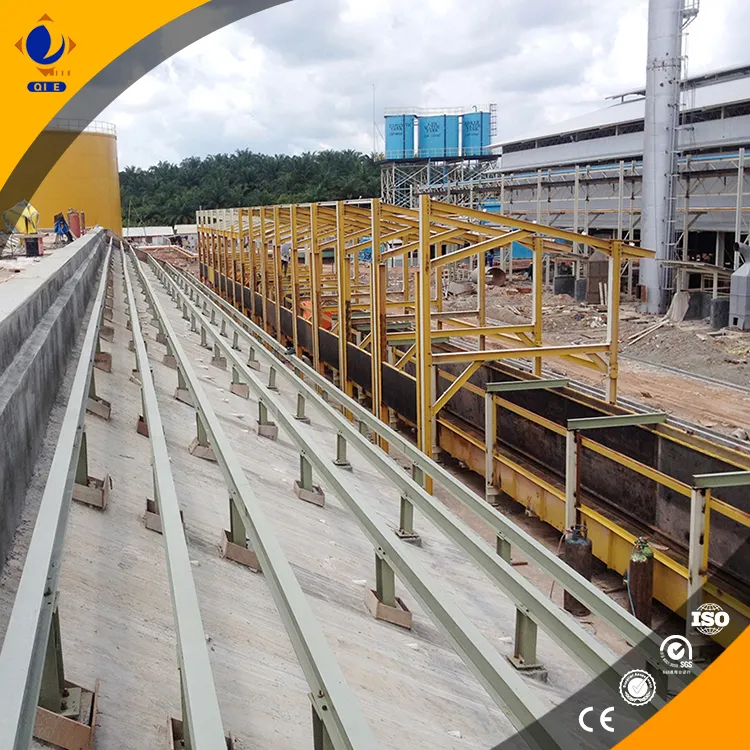 Palm oil production line