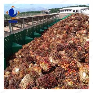 https://shmuker.oss-cn-hangzhou.aliyuncs.com/data/oss/common/20240703104111/20240703/05fb9c78e37715a06c05a0784d5ae78b.jpg