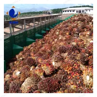 https://shmuker.oss-cn-hangzhou.aliyuncs.com/data/oss/common/20240703104111/20240703/05fb9c78e37715a06c05a0784d5ae78b.jpg
