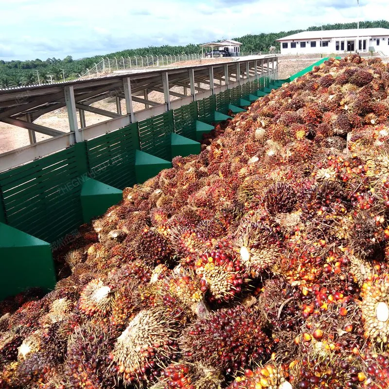 Large Palm Kernel Oil Pressing Production Line With Daily Processing Capacity Of 20 Tons